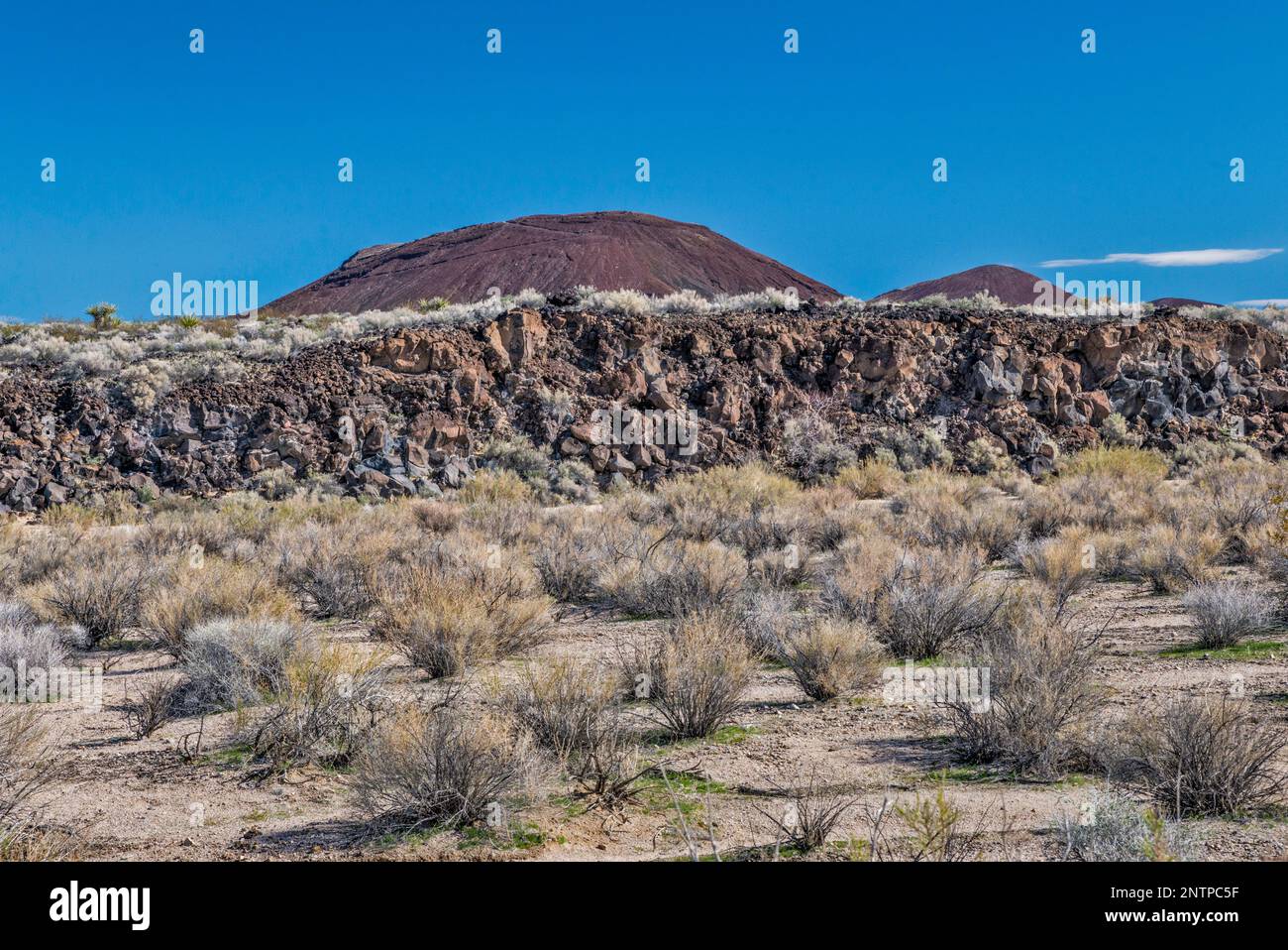 Strato di basalto, cono di cenere, cespugli di creosoto, Aikens Mine Road, Cinder Cones Lava Beds, deserto di Mojave, riserva nazionale di Mojave, California, USA Foto Stock