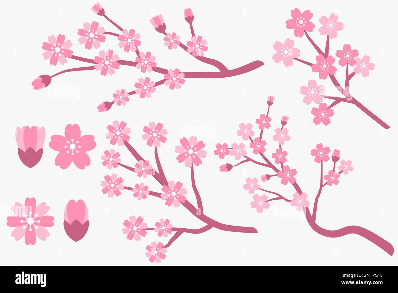 design piatto fiore di ciliegio, rami sakura e collezione di fiori Illustrazione Vettoriale