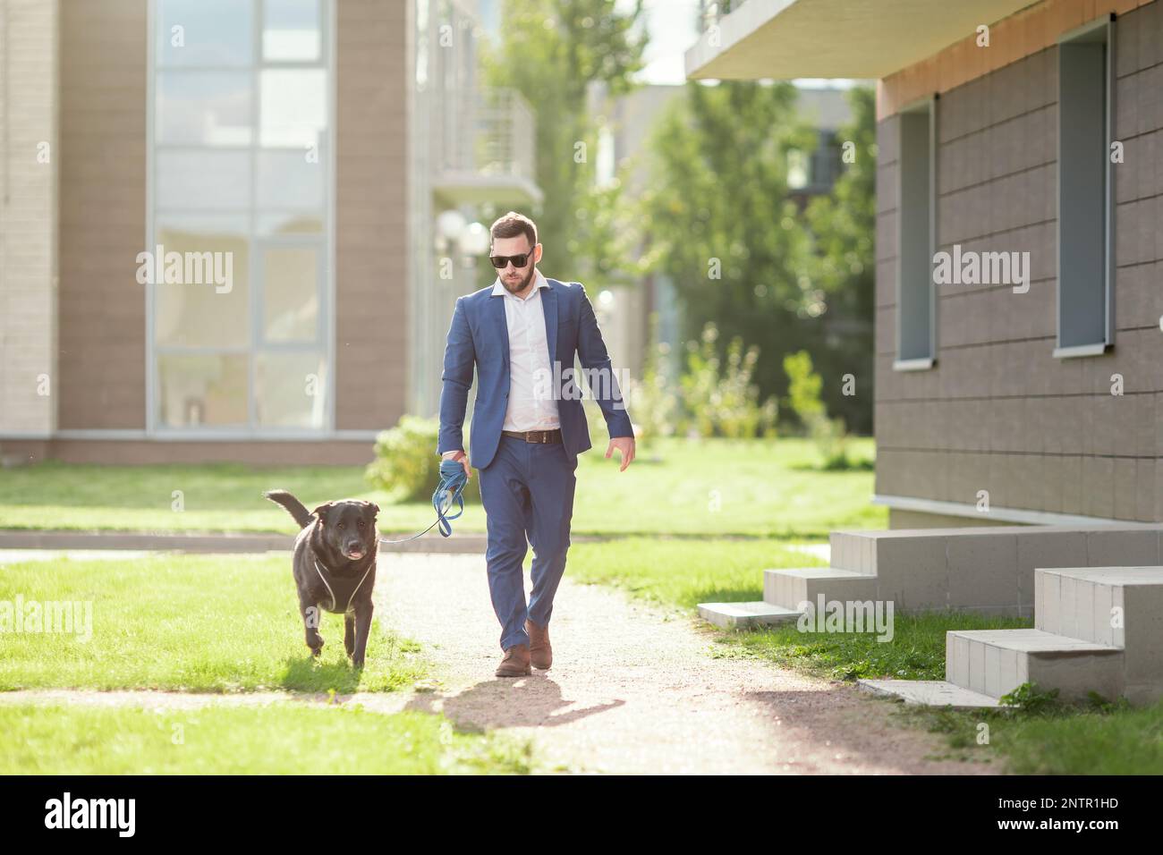 Un uomo d'affari che cammina il suo cane sulla strada della città Foto Stock