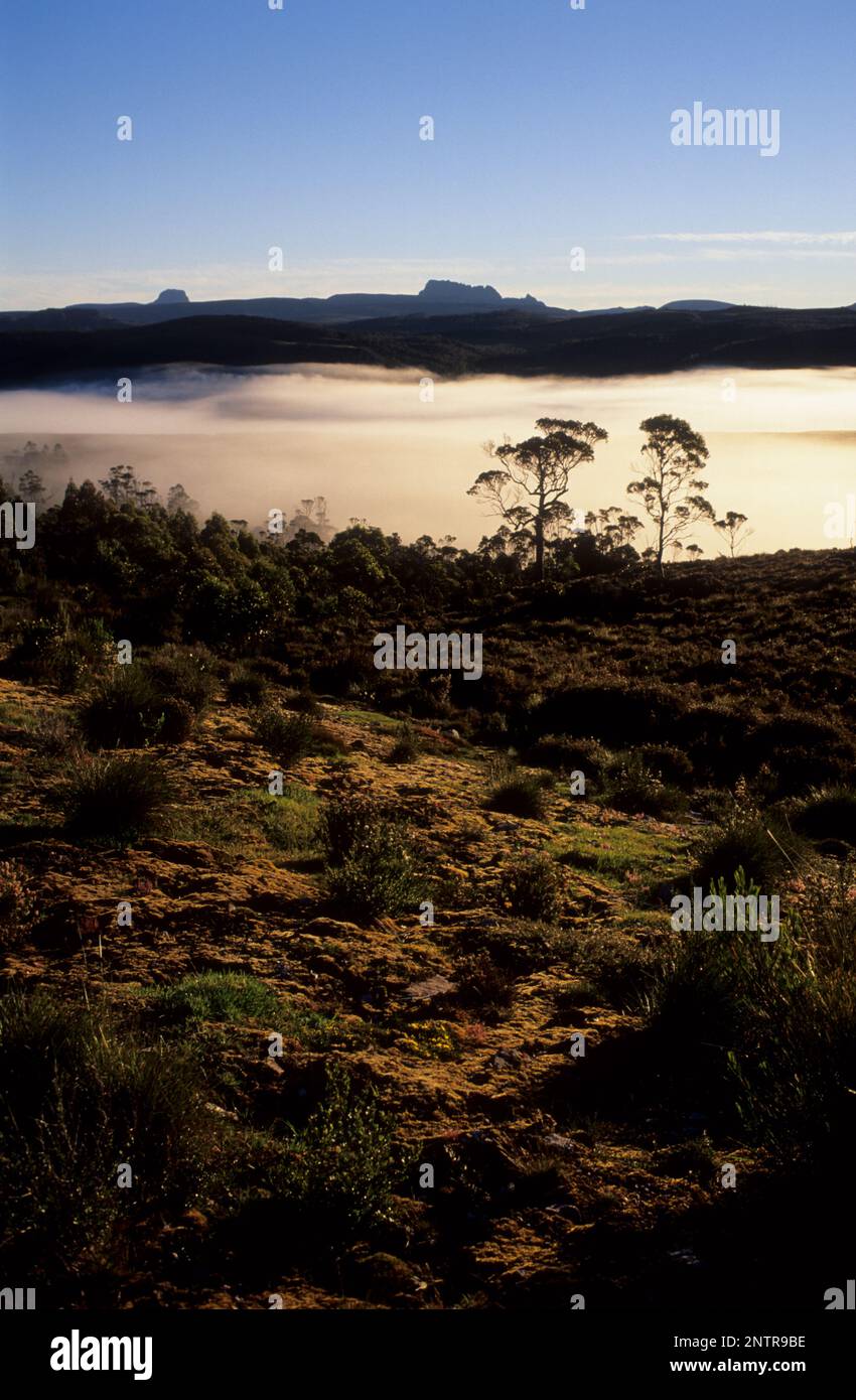 Australia, Tasmania, montagna di tabella come visto sulla strada di avvicinamento, il C 132 con nebbia di mattina presto nel fondo della valle. Foto Stock