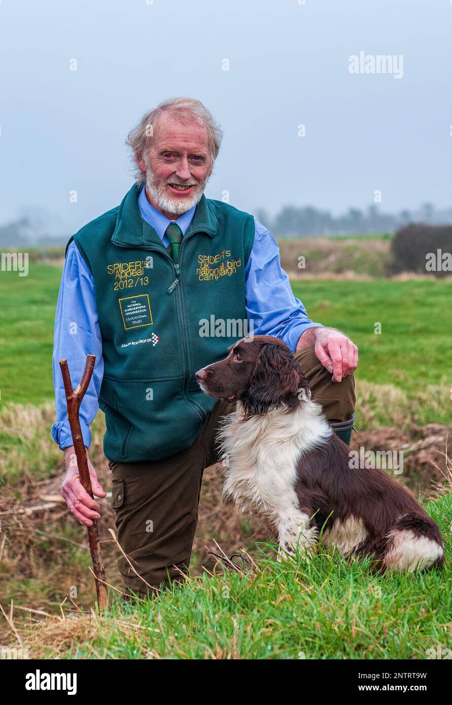 BARRY ATKINSON con il suo inglese Springer Spaniel chiamato Spider. Dopo un record di battitura o di prelievo su 1.000 germogli differenti in dieci stagioni di caccia, per la sua carità, Spider's appello Foto Stock