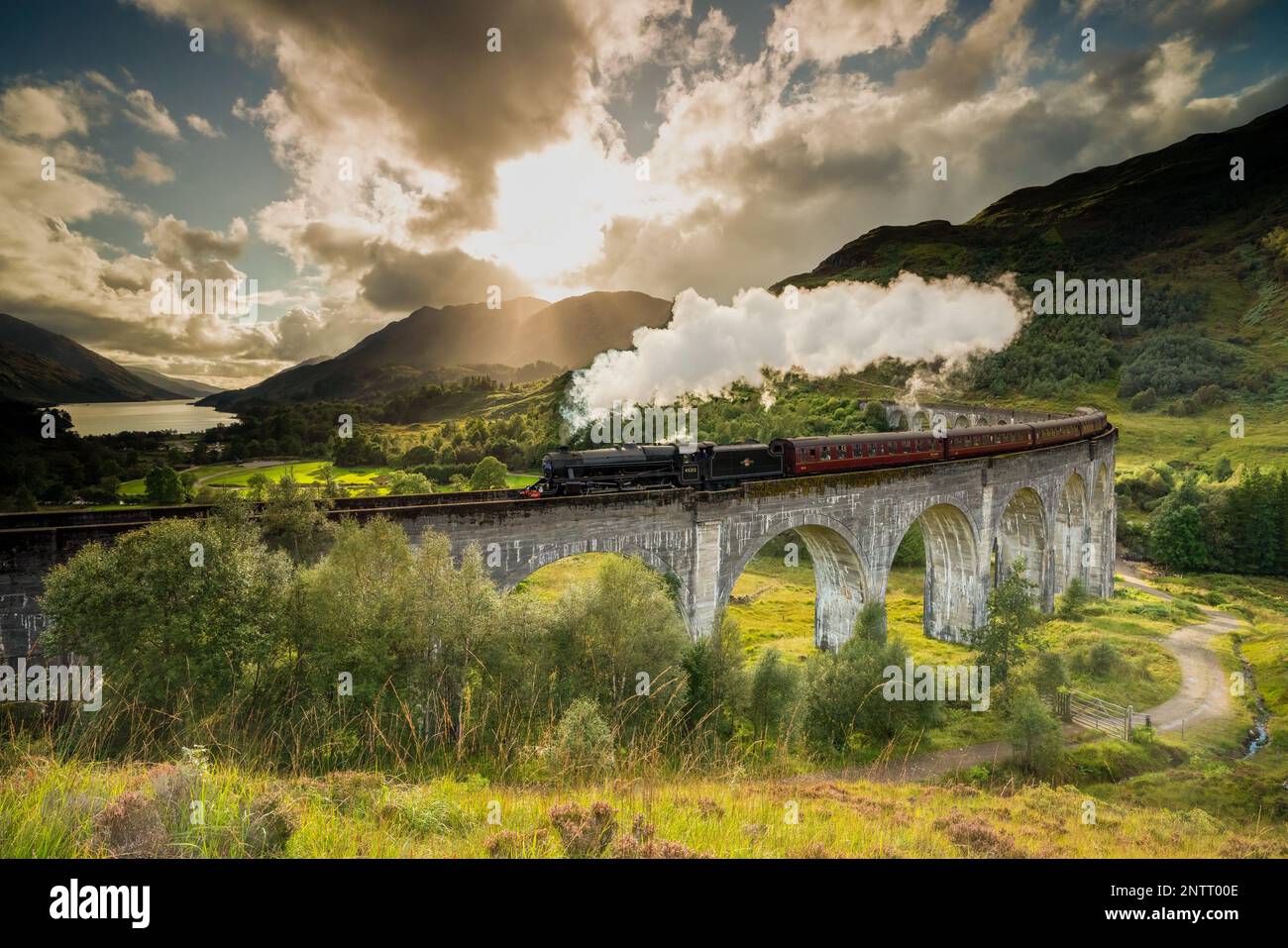 Treno a vapore Jacobite passando sopra il Viadotto Glenfinnan reso famoso dai film di Harry Potter. Situato nella valle con le montagne in Scozia Foto Stock