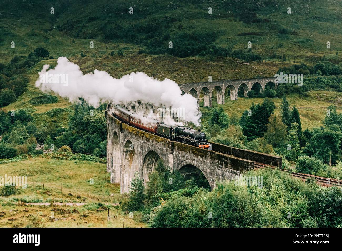 Treno a vapore Jacobite passando sopra il Viadotto Glenfinnan reso famoso dai film di Harry Potter. Situato nella valle con le montagne in Scozia Foto Stock