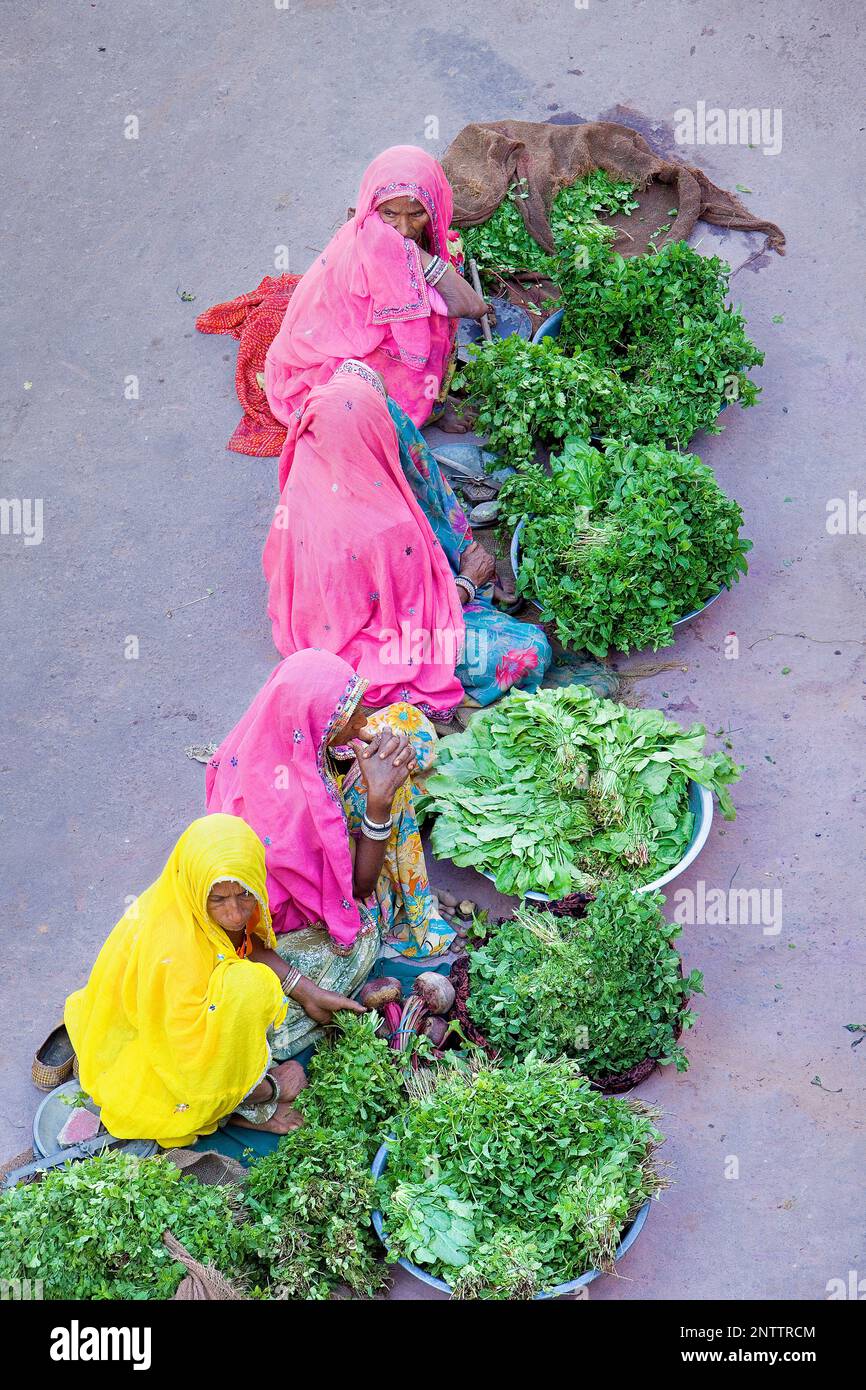 Laxmi mercato,, pushkar Rajasthan, India Foto Stock