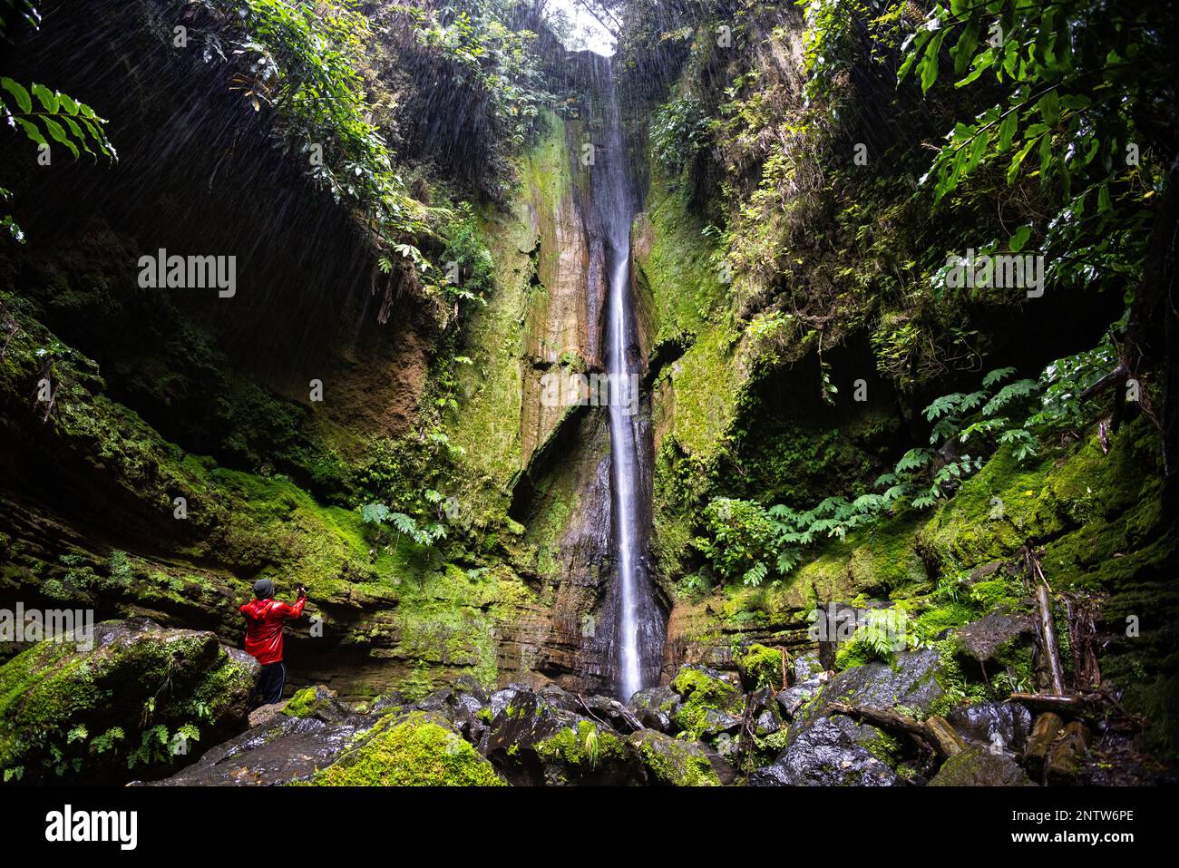 Cascata sull'isola di São Miguel, nelle Azzorre Foto Stock