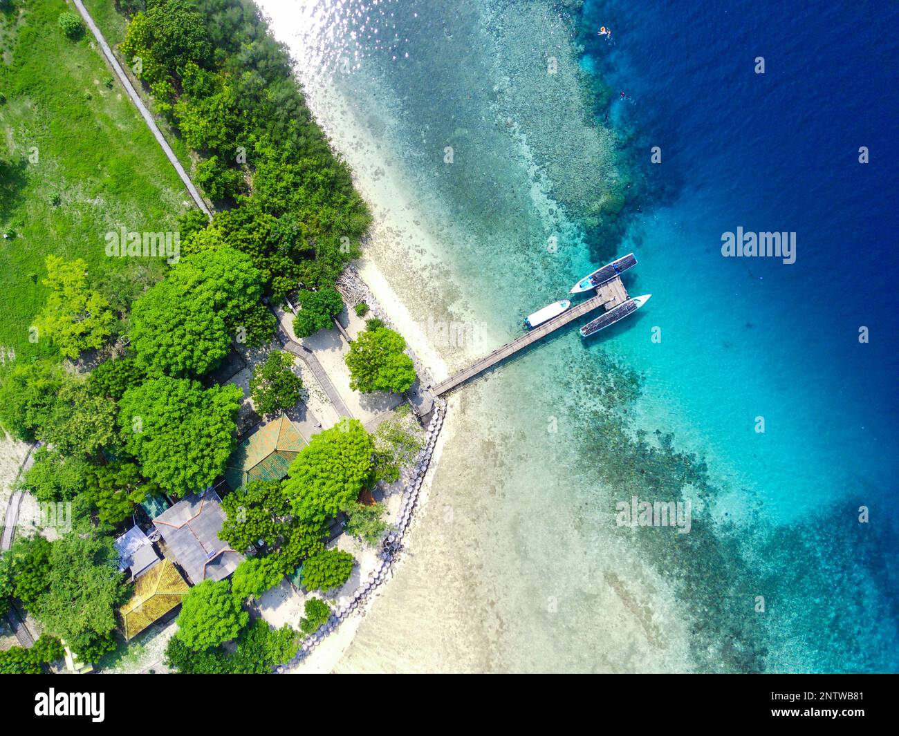 Isola di Menjangan, Parco Nazionale di Bali Occidentale, Indonesia. Riprese aeree scattate con il drone. Foto Stock