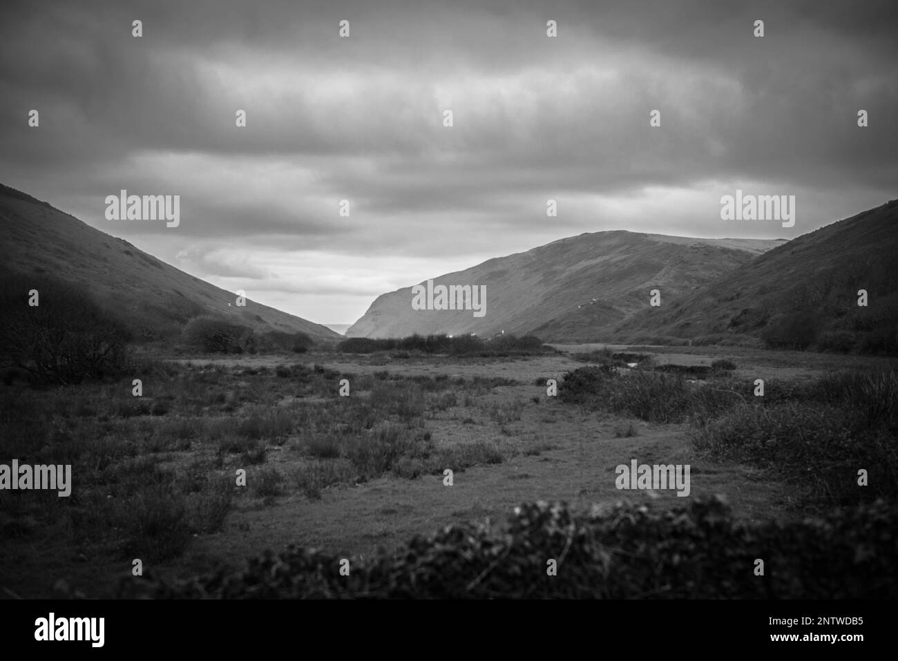 Sandymouth scogliere in Cornovaglia, Inghilterra Foto Stock
