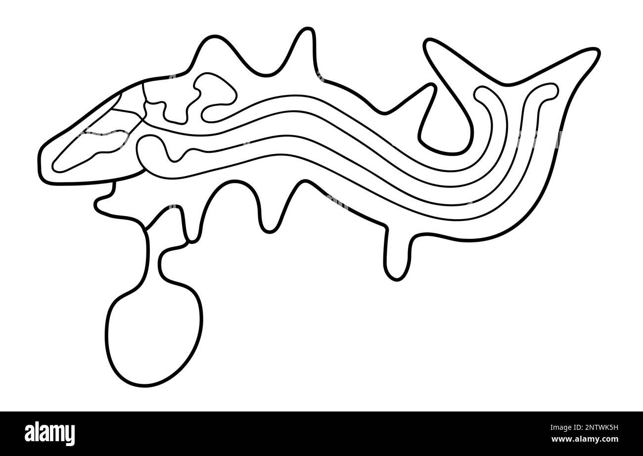 Geoglyph della balena assassino da Nazca, le linee di Nazca, deserto di Nazca, Perù Illustrazione Vettoriale