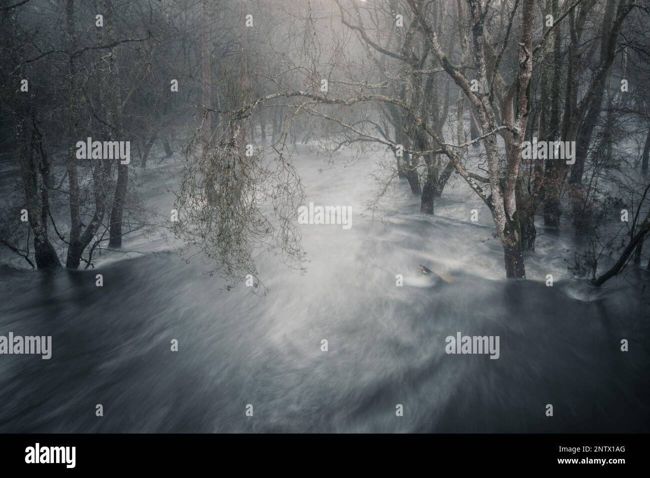 Alluvioni invernali inondano le foreste ripariali adiacenti al fiume Minho vicino a Lugo Galicia Foto Stock