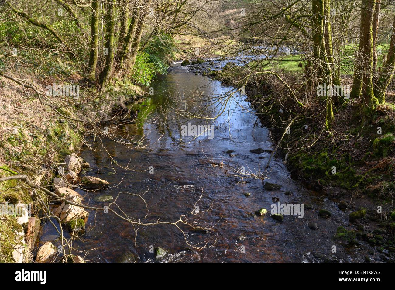 Il fiume Tarnbrook Wyre a Ouzel Bridge vicino Tarnbrook, Foresta di bowland nel Lancashire Foto Stock