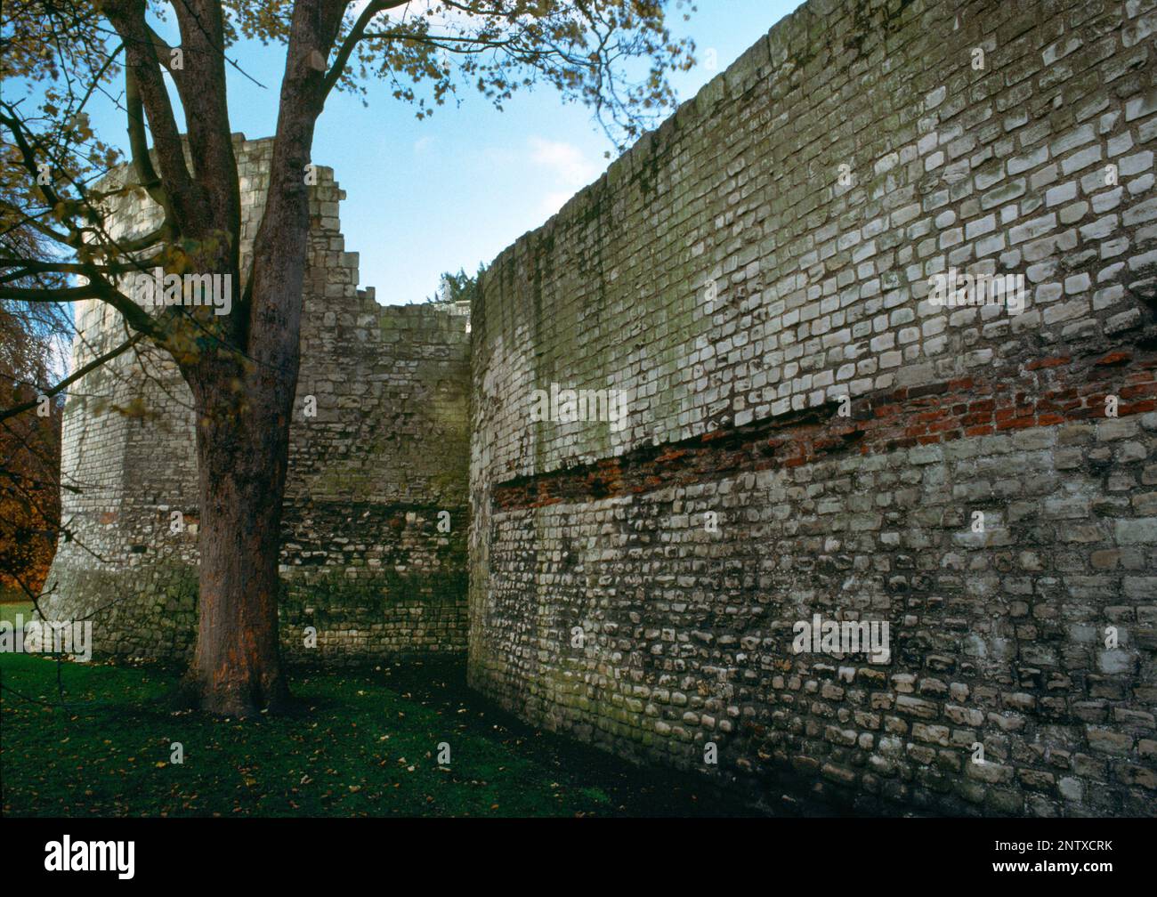 Vista sulla N delle C4thAD mura romane e della Multangular Tower all'angolo nord-ovest della fortezza legionaria di Eboracum, York, Inghilterra, Regno Unito. Foto Stock