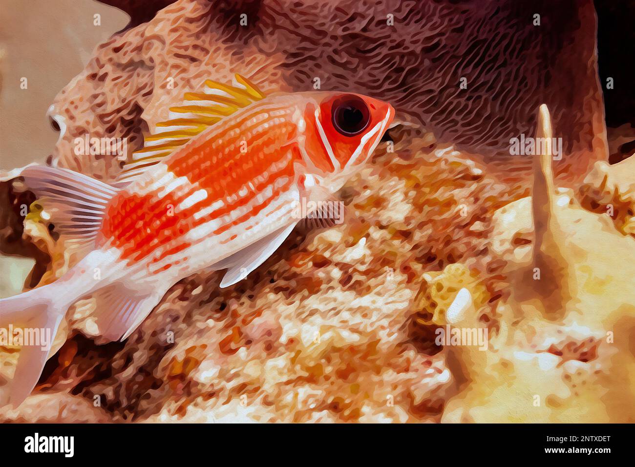 Dipinto ad acquerello creato digitalmente di Squirrelfish Olocentrus adscensionis nella barriera corallina del Mar dei caraibi Foto Stock