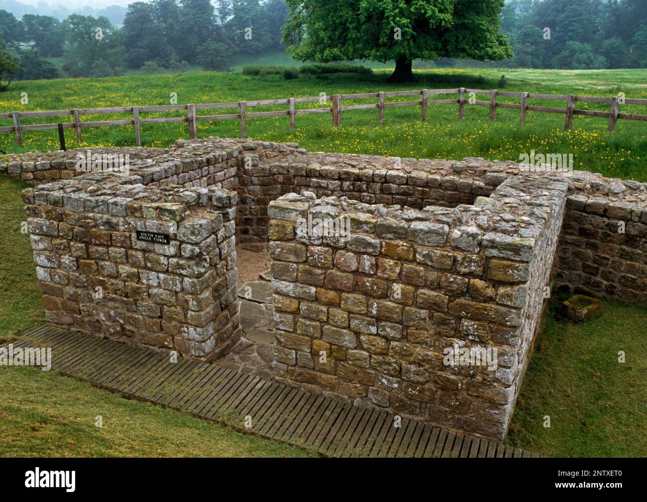 Se angolo torre (angolo torre) all'interno del muro S di Chesters Roman Fort, Adrian's Wall, Northumberland, Inghilterra, Regno Unito, E della torre a intervalli se. Foto Stock