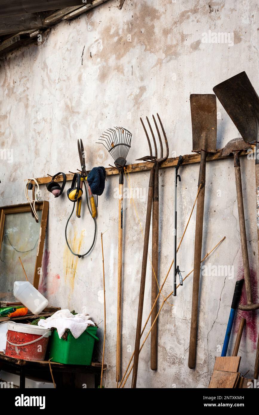 Fienile interno con una collezione di vari arrugginiti da giardino strumenti appesi su pareti intemperie Foto Stock