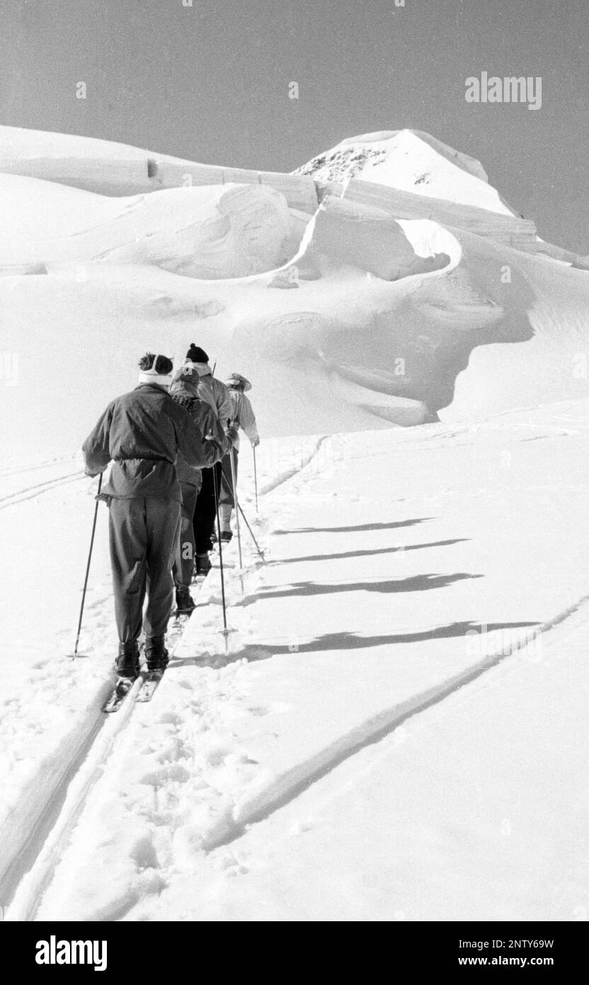 Ski tour nel 1950s, Wildspitze, Alpi Centro-Orientali, Tirolo, Austria, 1956 Foto Stock