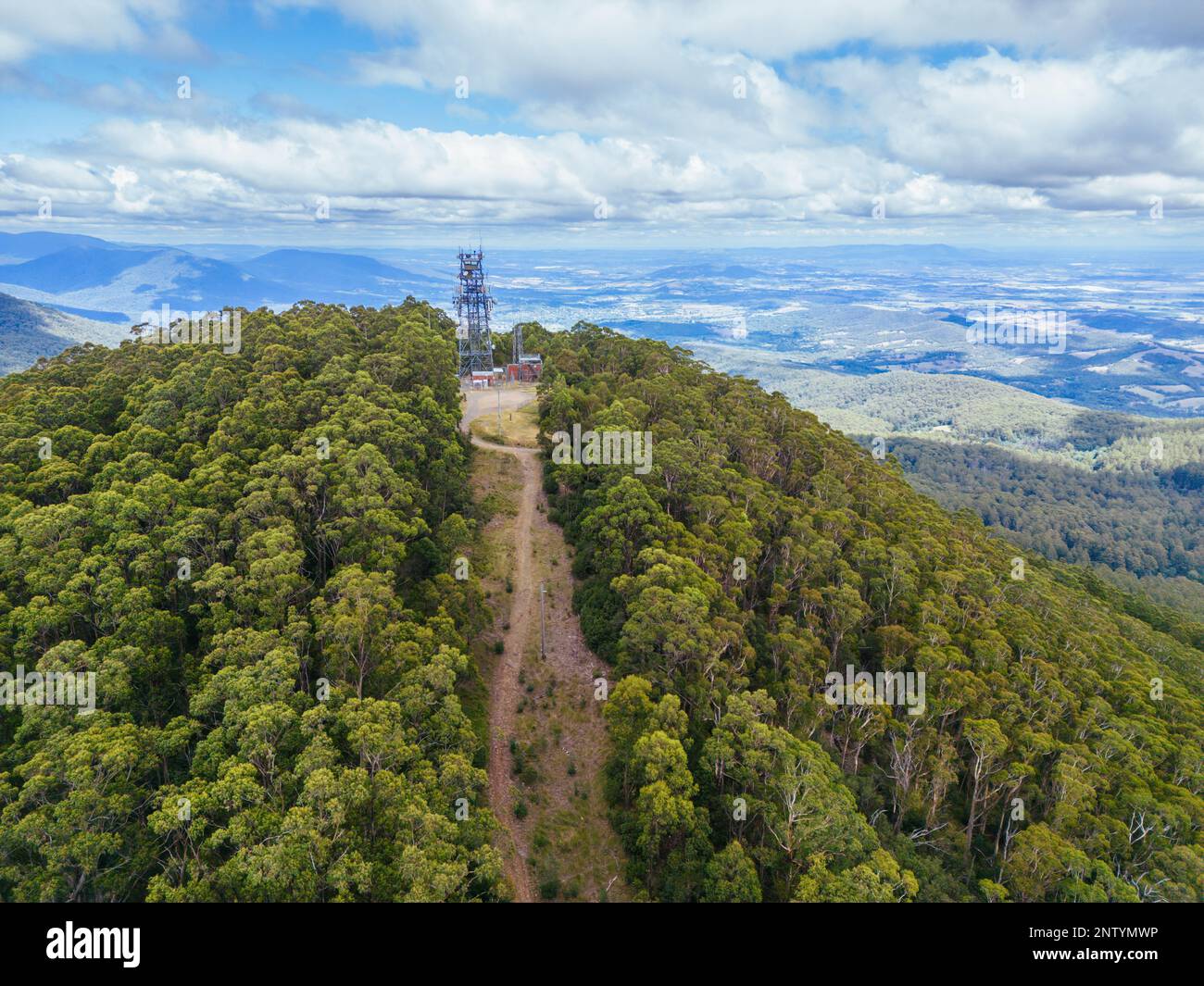 Paesaggio estivo al Monte St Leonard in Australia Foto Stock