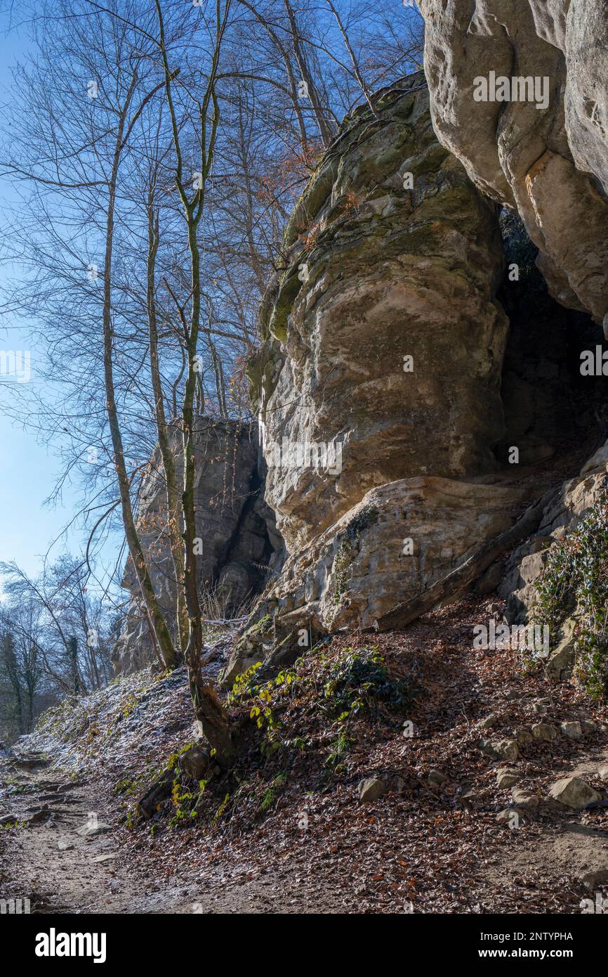 Europa, Lussemburgo, Mullerthal, il sentiero Mullerthal che attraversa formazioni rocciose della Valle nera di Ernz in inverno Foto Stock