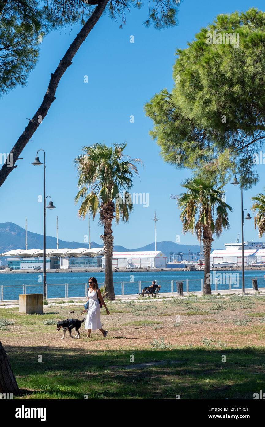 Una donna che cammina il suo cane a su Siccu, una piccola pineta vicino al porto di Cagliari, Sardegna, Italia Foto Stock
