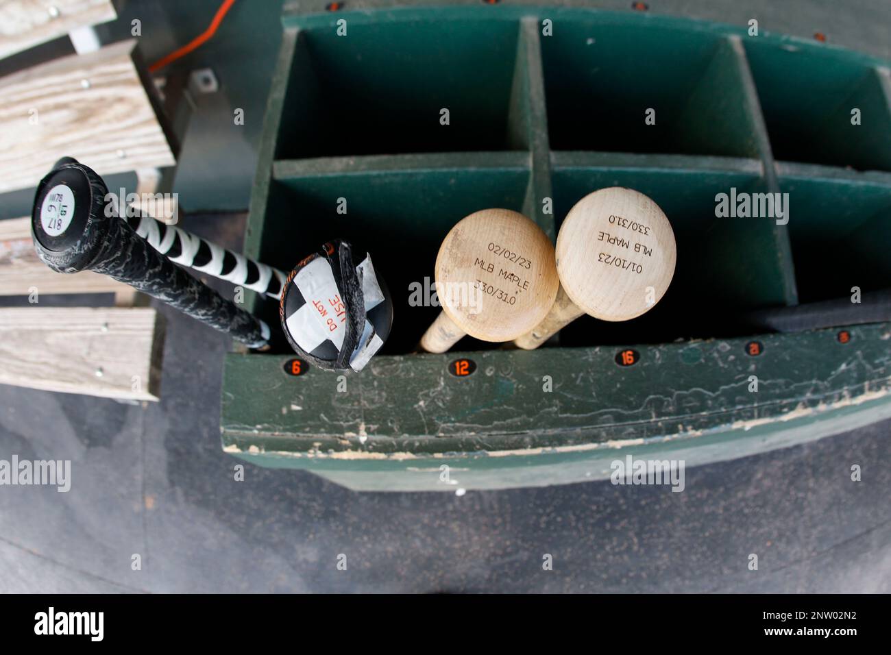 Sarasota FL USA; Una visione generale dei pipistrelli nel dugout durante un gioco di allenamento primaverile MLB tra i Baltimore Orioles e i raggi della Tampa Bay a ed SM Foto Stock