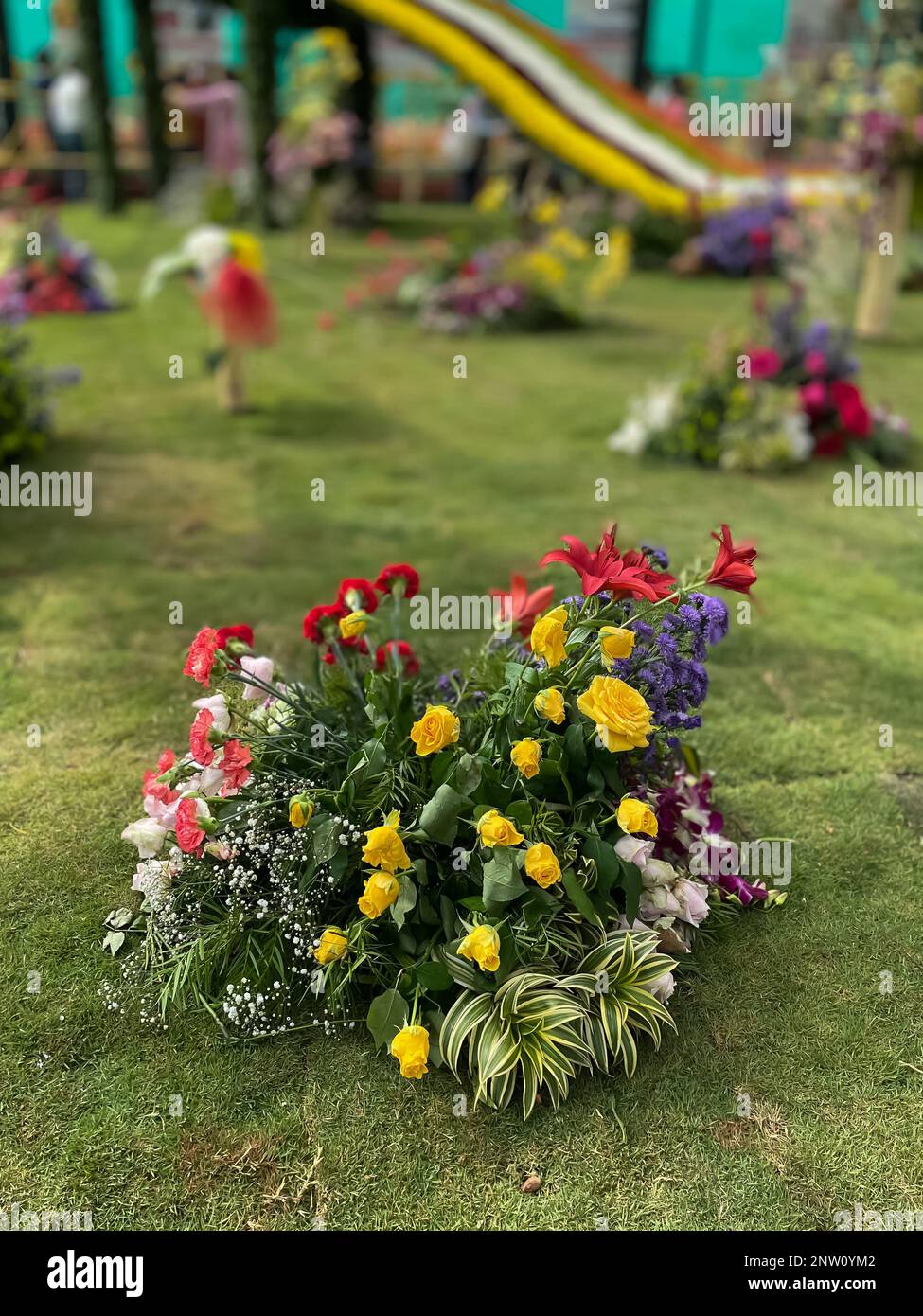Immagine selettiva di fiori colorati fioriscono in un giardino con una varietà di colori vivaci Foto Stock