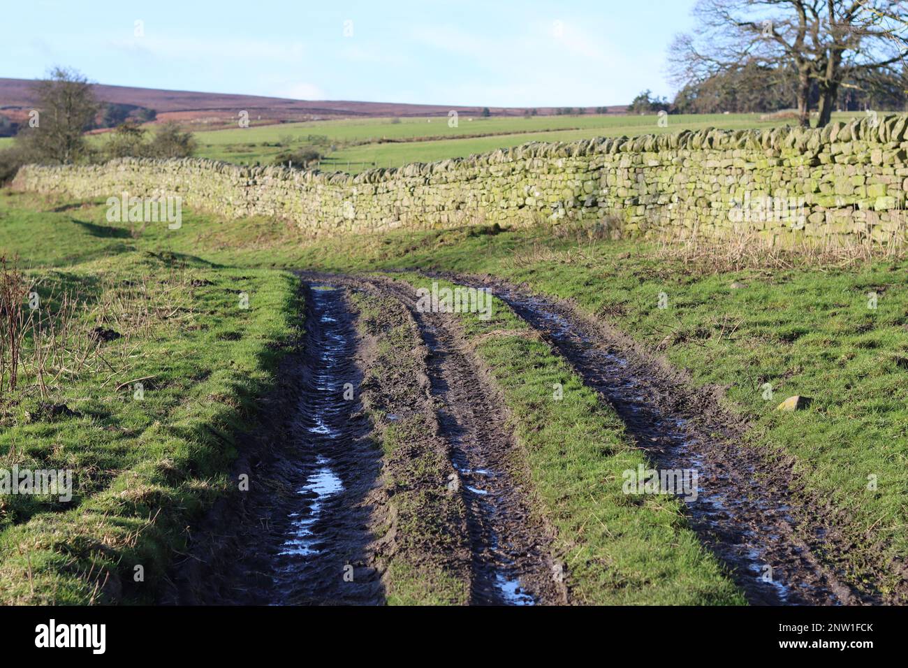 Pista di campagna che si snoda in lontananza Foto Stock