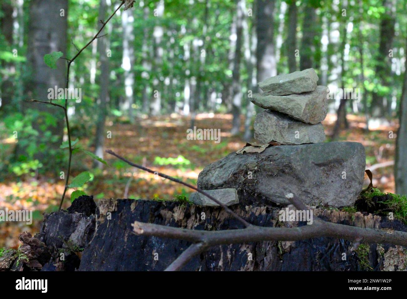 La piramide in pietra nella foresta è un'imponente struttura fatta di pietre naturali accuratamente impilate l'una sull'altra. Foto Stock