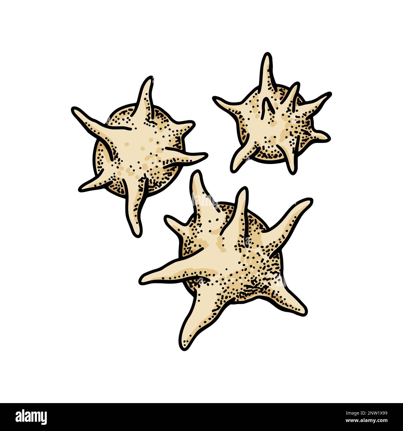 Piastrine isolate su sfondo bianco. Illustrazione vettoriale per microbiologia scientifica disegnata a mano in stile schizzo Illustrazione Vettoriale