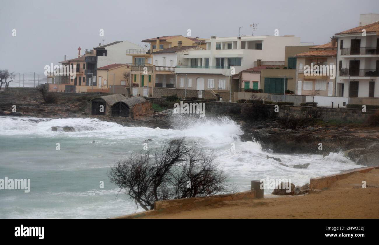 Santa Margalida, Spagna. 27th Feb, 2023. Forti raffiche di vento frustano alte onde sulla riva di Santa Margalida. Credit: Clara Margais/dpa/Alamy Live News Foto Stock