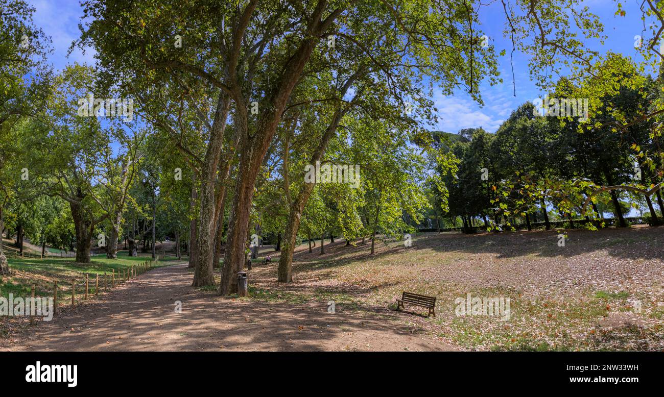 Giardino di Villa borghese a Roma: Panchina solitaria circondata da alberi. Foto Stock
