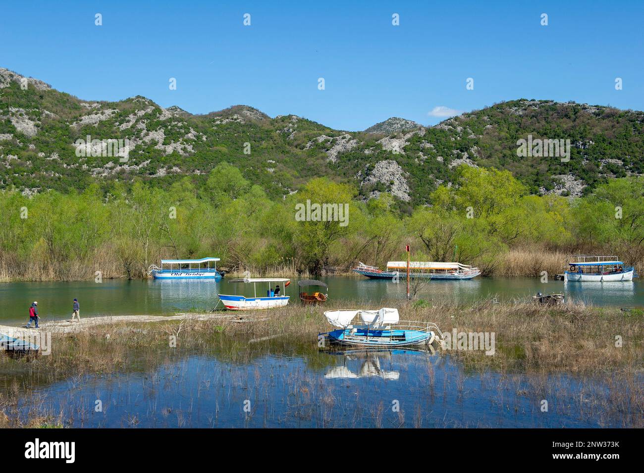 Barche sul lago Skadar visto dal villaggio di Virpazar, Montenegro Foto Stock