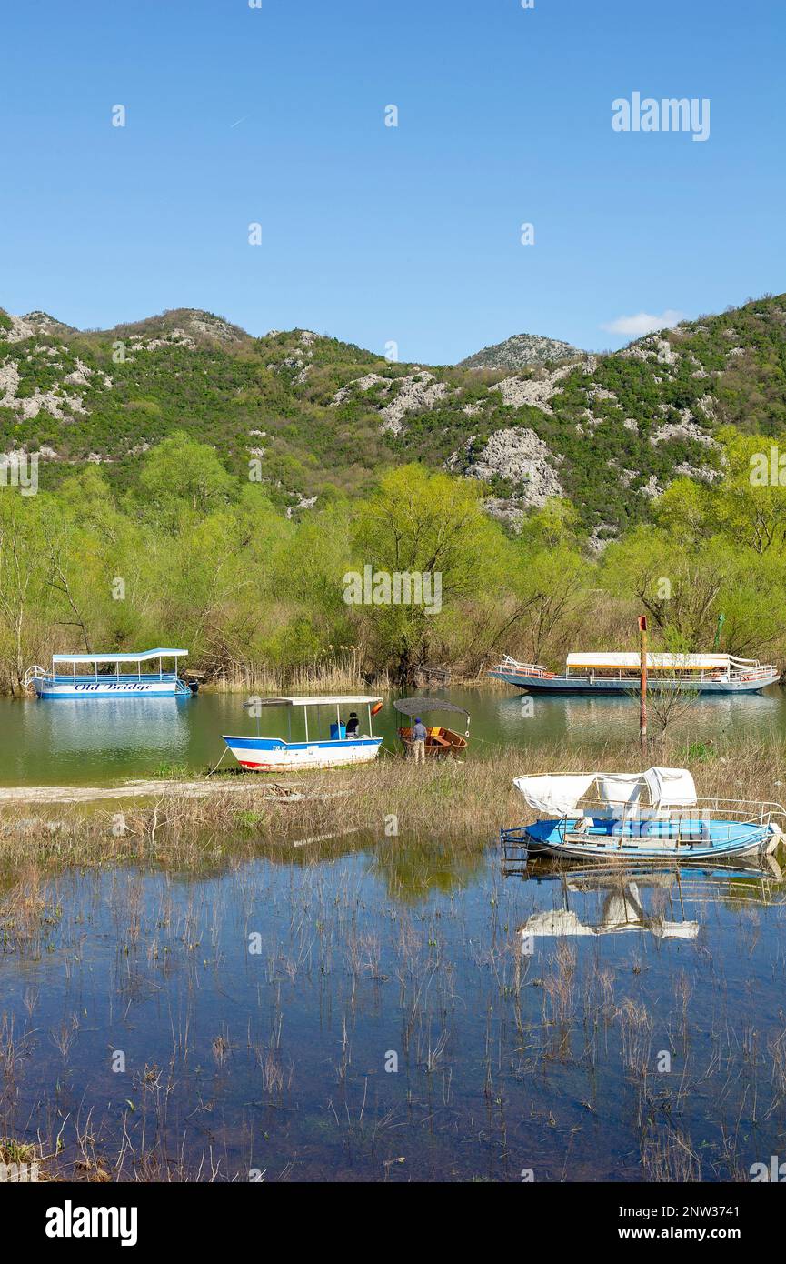 Barche sul lago Skadar visto dal villaggio di Virpazar, Montenegro Foto Stock