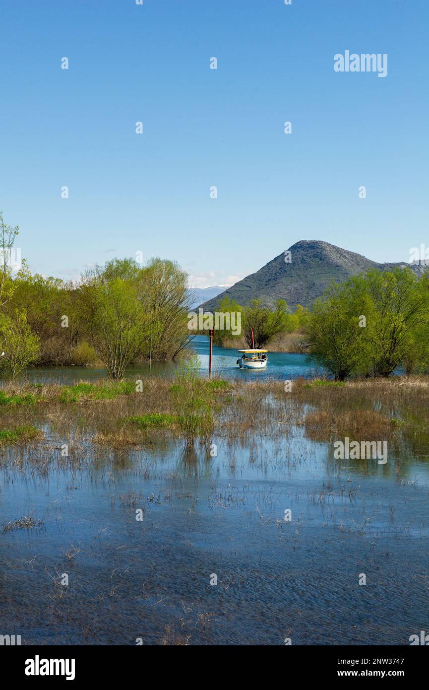 Una piccola barca sul lago Skadar visto dal villaggio di Virpazar Foto Stock