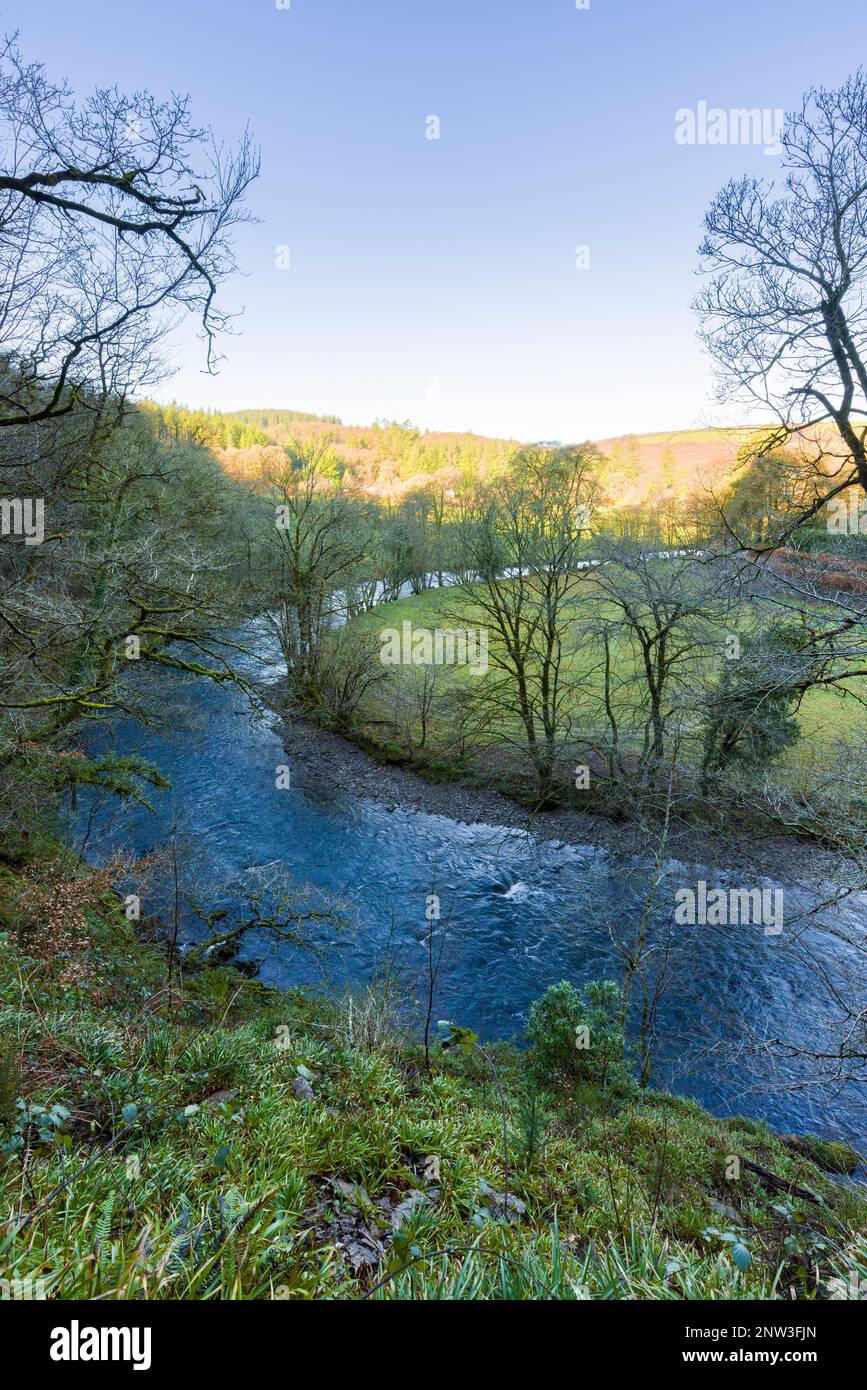 Il fiume Barle da Burridge Woods vicino Dulverton nel Parco Nazionale Exmoor, Somerset, Inghilterra. Foto Stock