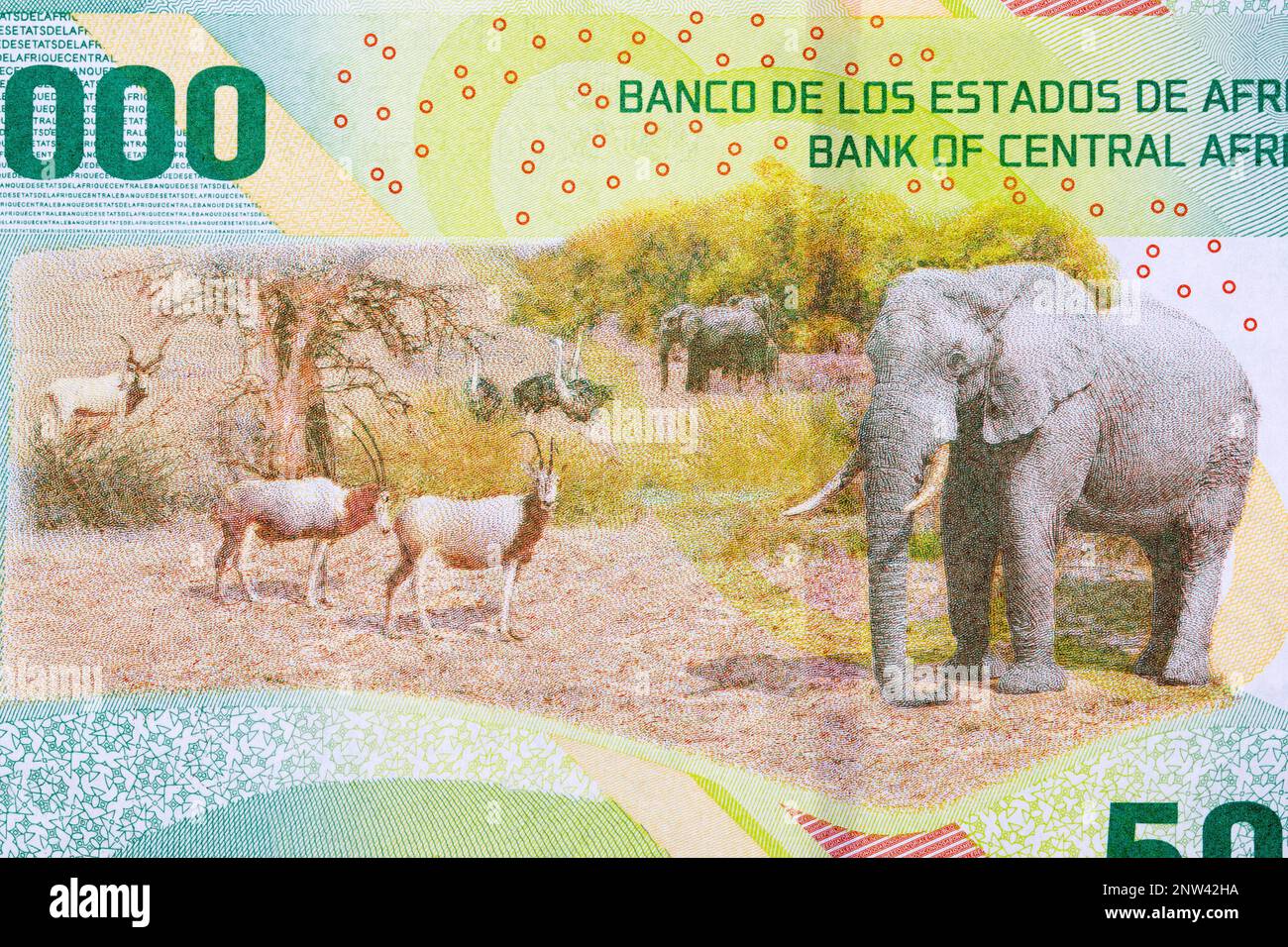 Safari scena da Stati centrafricani denaro - 5000 franchi Foto Stock