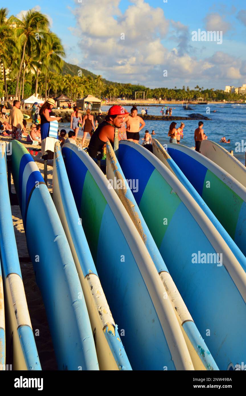 Le tavole da surf sono allineate a Waikiki Beach Foto Stock