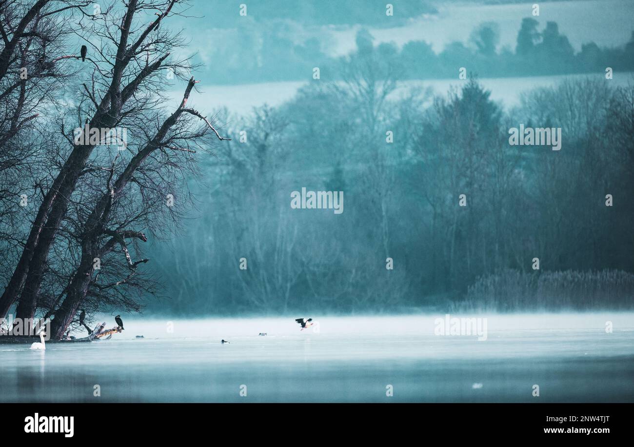 Moody Misty Winter Waterscape Foto Stock