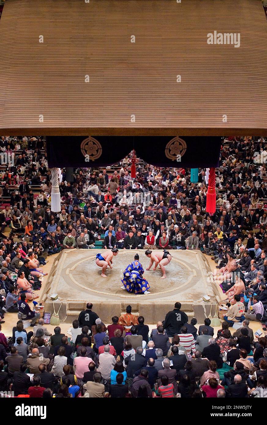 Torneo di sumo in Ryogoku kokugikan stadium,Tokyo city, Giappone Foto Stock