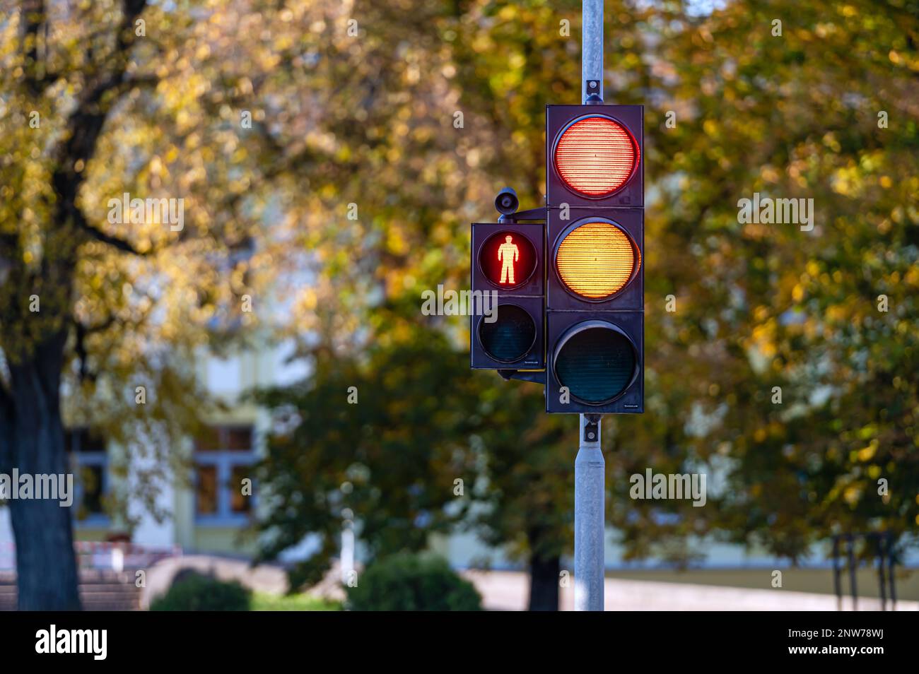 Semaforo rosso e arancione in primo piano sul semaforo. Sfondo autunnale dai colori vivaci. Foto Stock