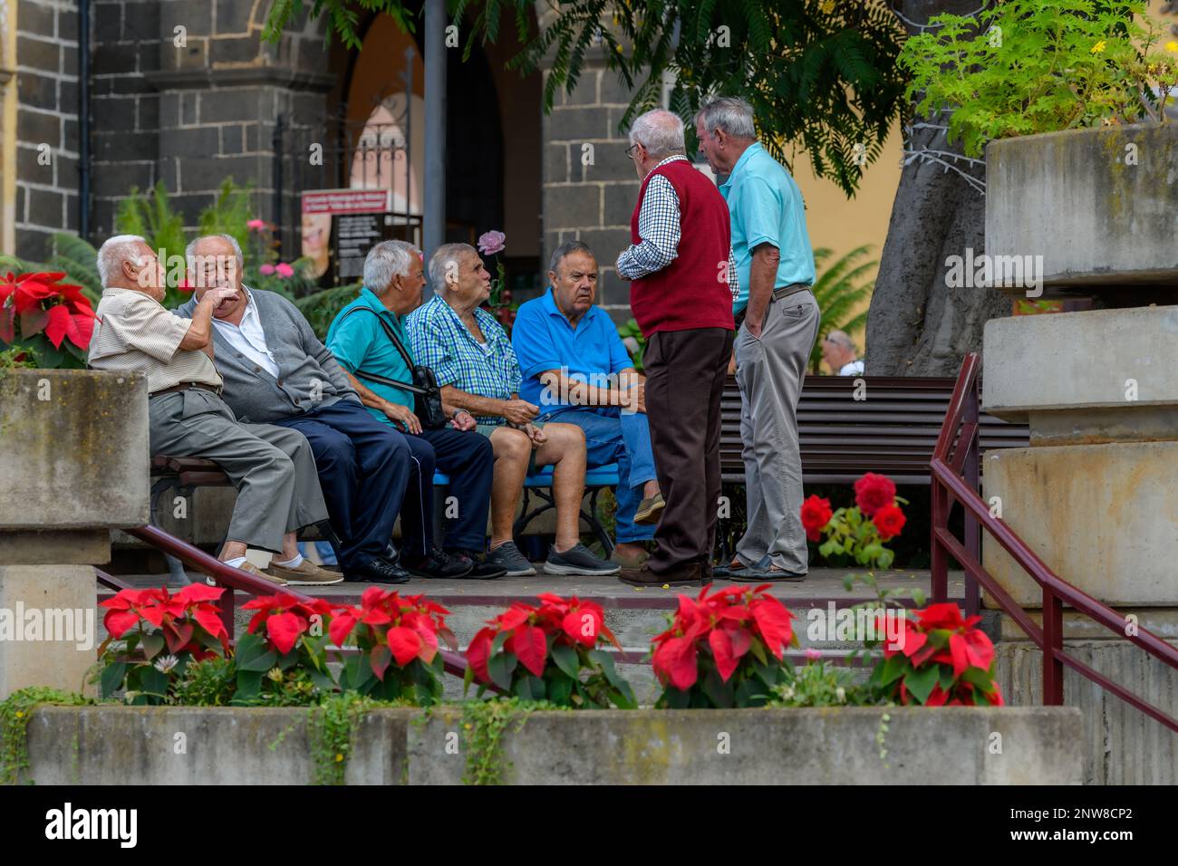 Un gruppo di uomini anziani che mettono il mondo ai diritti dell'ex convento di Nuestra Señora de Gracia a Tenerife, la Orotava. Foto Stock