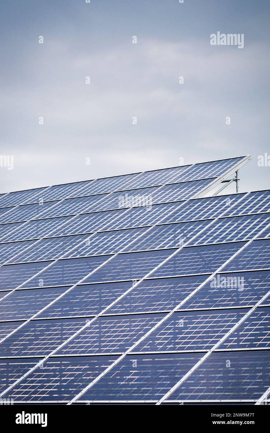 Pannelli solari all'aperto in una giornata di lavoro. L'assenza di una luce solare più intensa riduce in modo significativo l'efficienza dell'infrastruttura dell'energia solare. Verticale Foto Stock