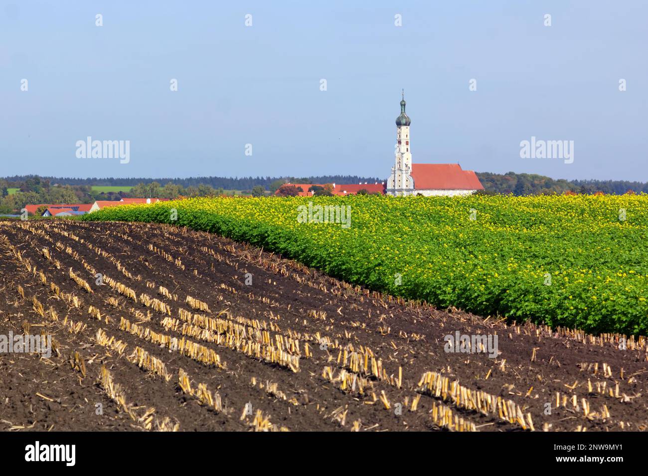 Campagna in Baviera in Germania che mostra una tradizionale torre di cipolle e campo raccolto Foto Stock