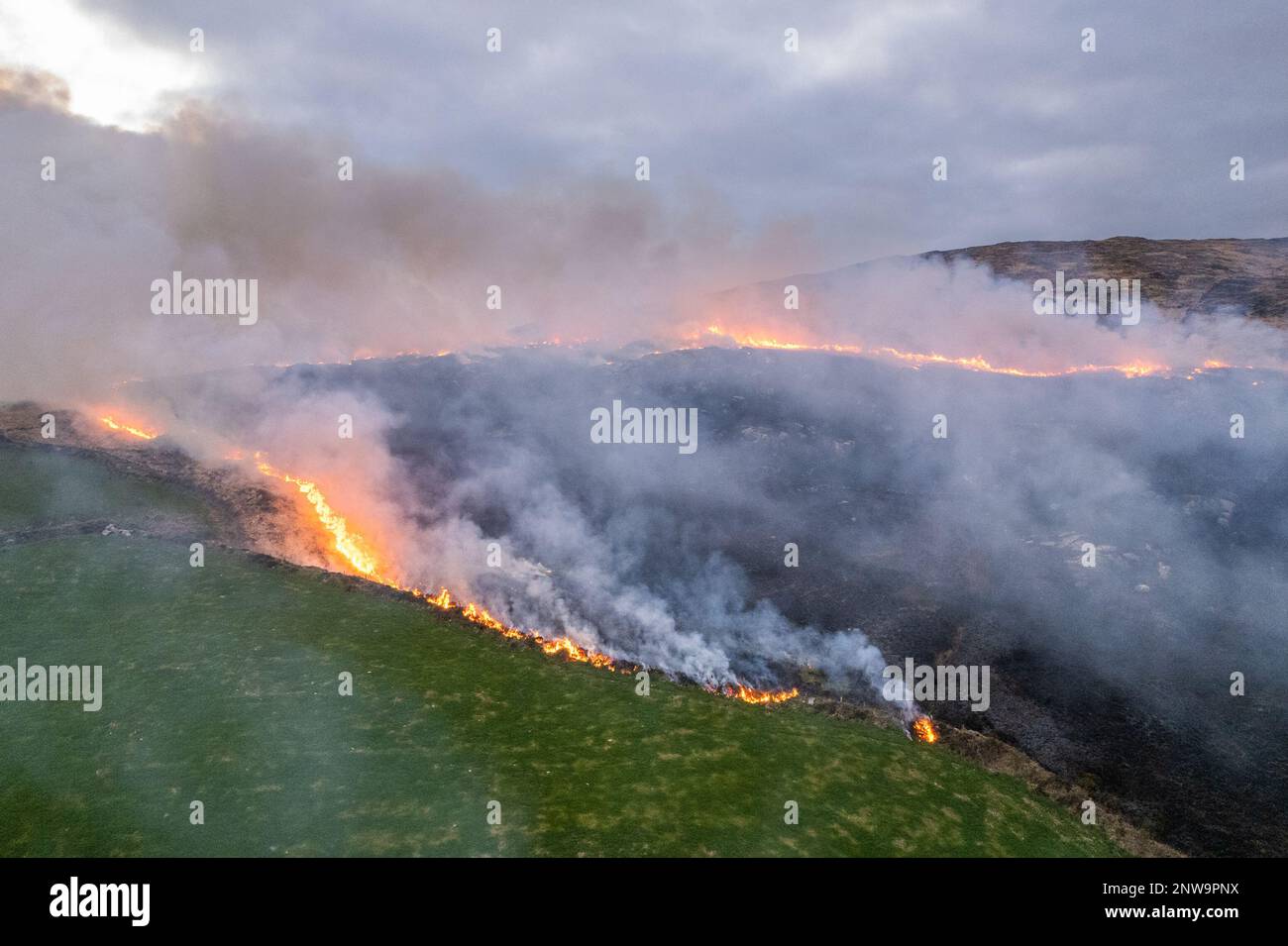 Goleen, West Cork, Irlanda. 28th Feb, 2023. Questa sera un enorme fuoco di gola brucia fuori controllo su una montagna sopra Goleen a Cork Ovest. Da domani è illegale bruciare la vegetazione fino al 1st settembre. La combustione della vegetazione è controllata dagli atti della fauna selvatica. Credit: AG News/Alamy Live News Foto Stock