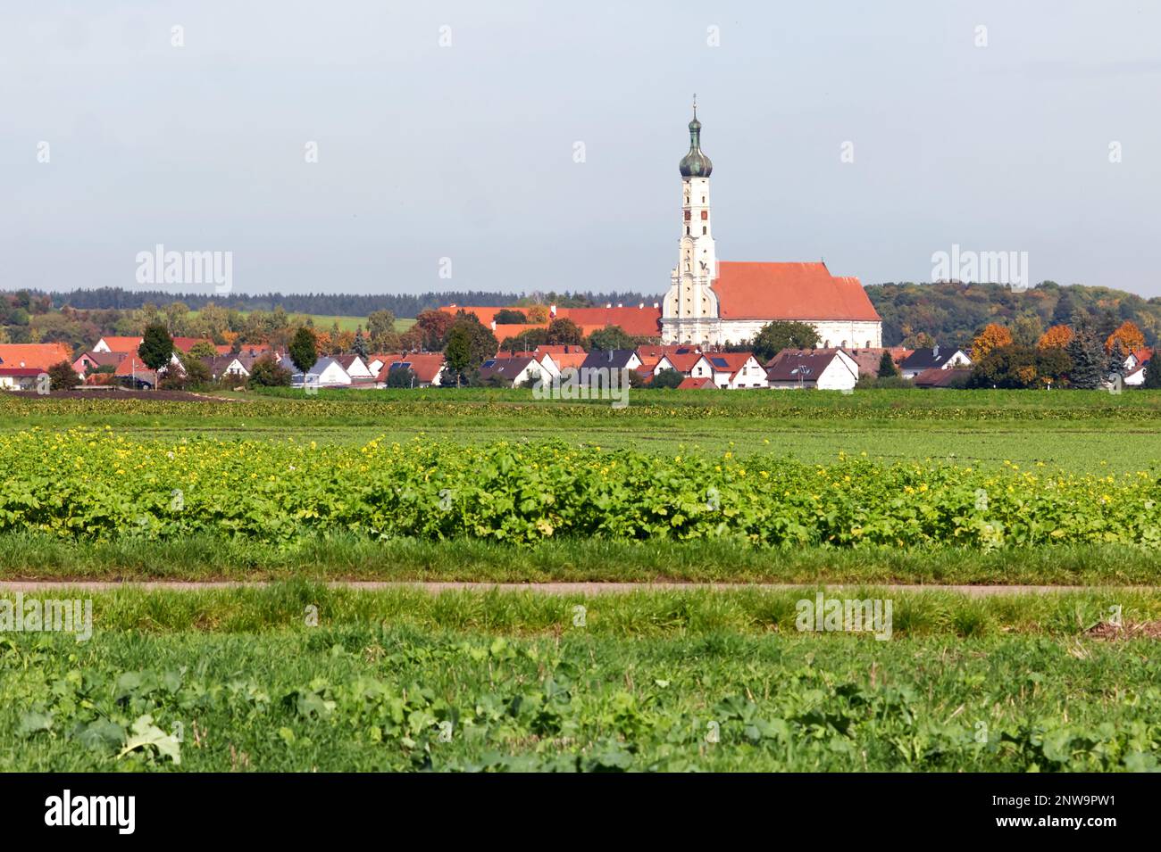 Campagna in Baviera in Germania che mostra una tradizionale torre di cipolle e campo raccolto Foto Stock