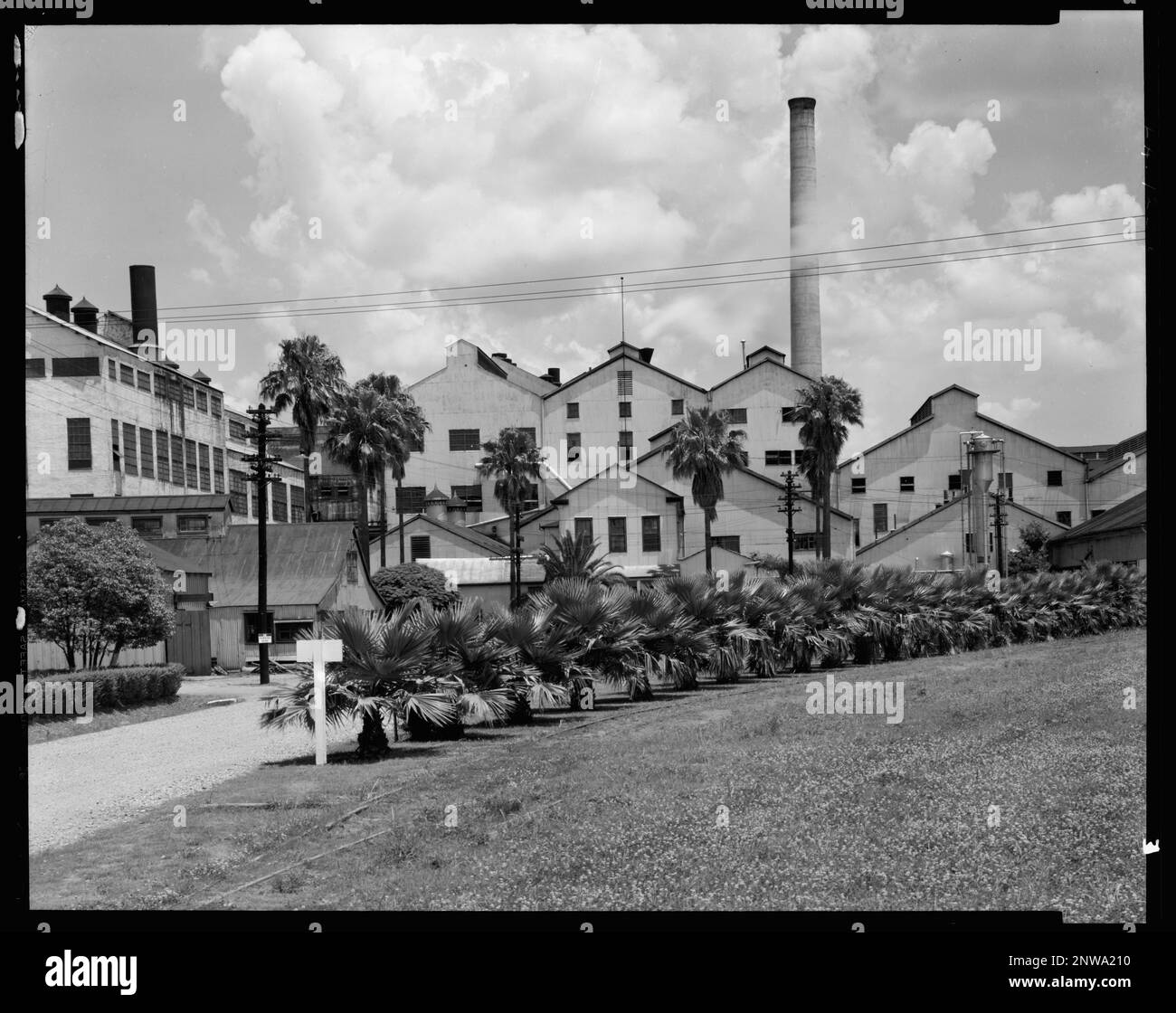 Godchaux zuccherificio raffineria, riserva, St. Parrocchia di Giovanni Battista, Louisiana. Carnegie Survey of the Architecture of the South. Stati Uniti, Louisiana, St Giovanni Battista Parrocchia, Riserva, impianti industriali, Palme, Smokestacks, Industria dello zucchero. Foto Stock