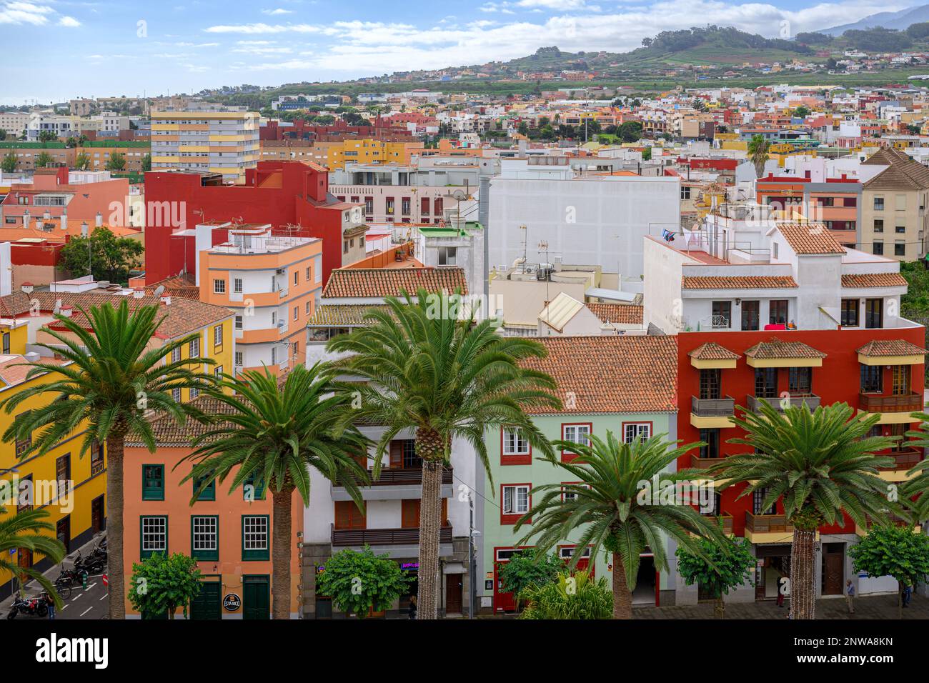 Alte palme e vivaci condomini riempiono la vista dalla torre di Laguna la Iglesia-Parroquia Matriz de Nuestra Señora de la Concepción Foto Stock