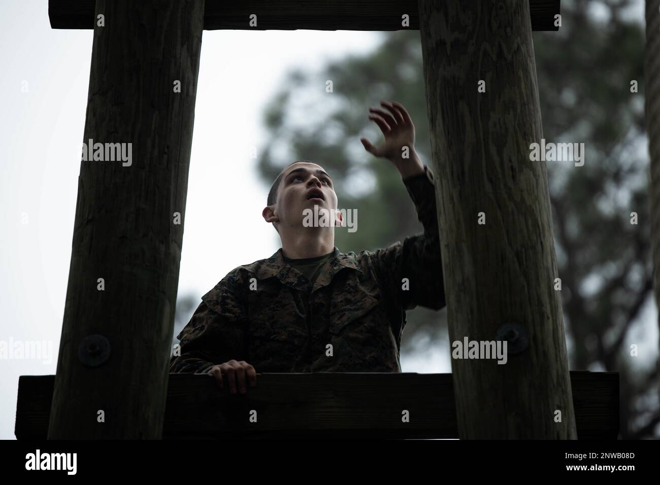 Reclutamento con Delta Company, 1st reclutamento addestramento battaglione, manovrare attraverso il corso di confidenza mentre a bordo del corpo Marino reclutamento deposito Parris Island, S.C., 31 gennaio 2023. Il corso di confidenza raggruppa diversi ostacoli che spingono e sfidano le reclute costringendole a stare a proprio agio nell'essere scomodo. Foto Stock