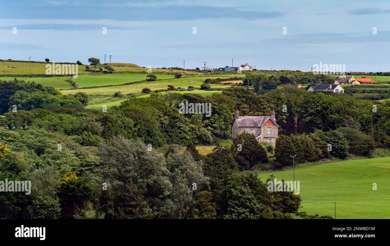 Casa accogliente tra gli alberi, paesaggio. Campo verde vicino casa Foto Stock