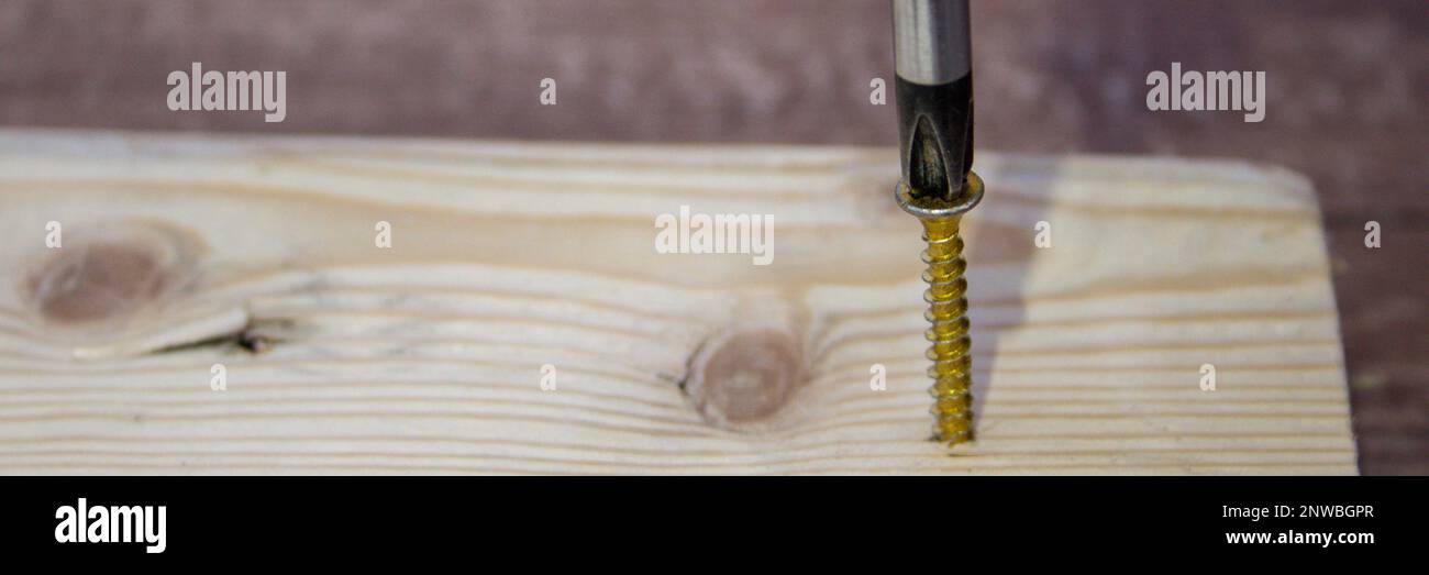 Immagine della testa di un cacciavite che inserisce una vite in un pezzo di legno. Fai da te e artigianato fatti in casa. Banner orizzontale Foto Stock