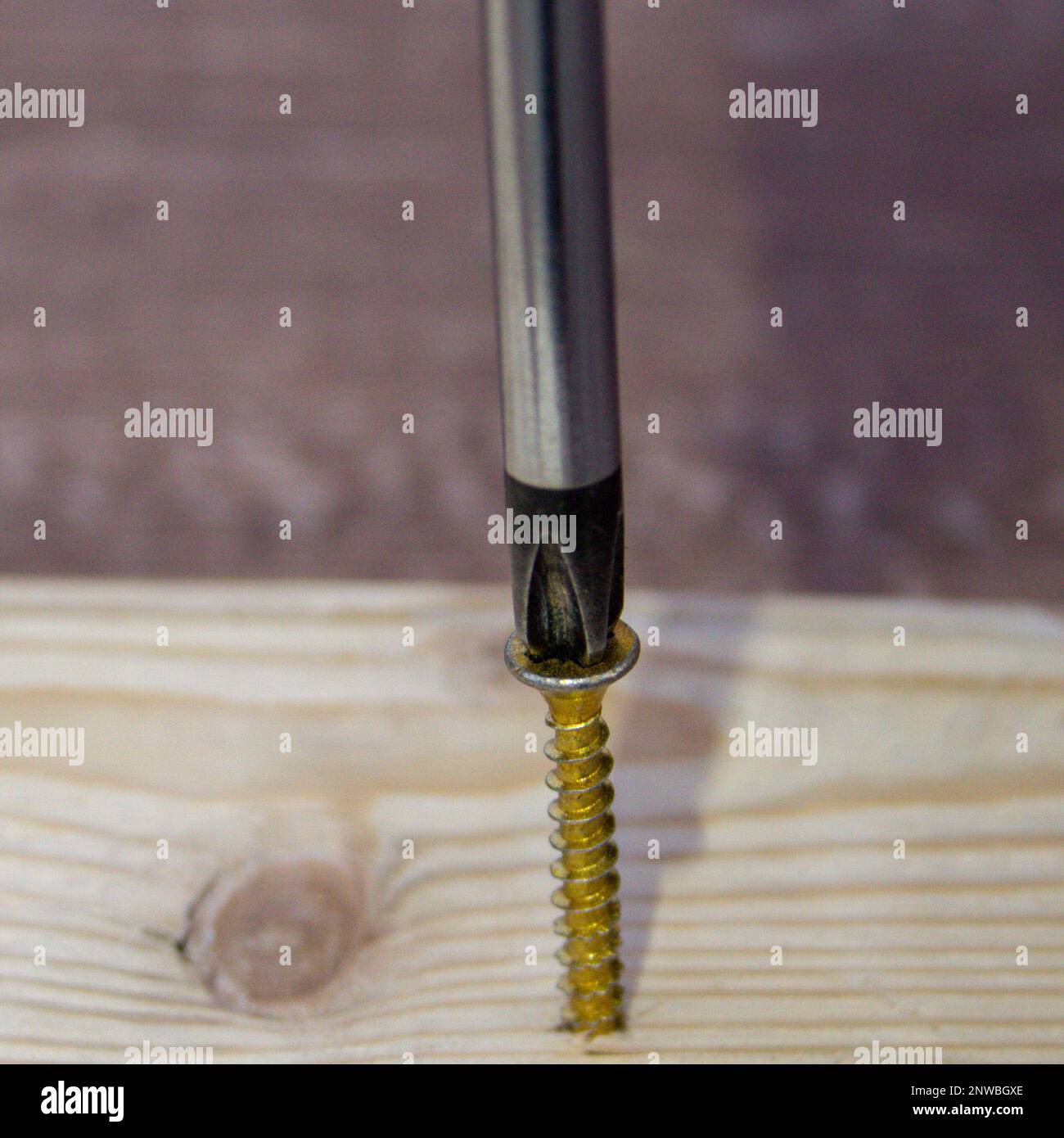 Immagine della testa di un cacciavite che inserisce una vite in un pezzo di legno. Fai da te e artigianato fatti in casa. Foto Stock