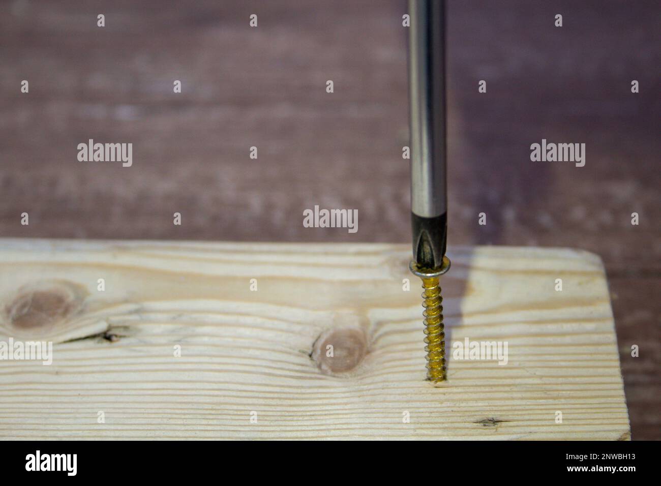 Immagine della testa di un cacciavite che inserisce una vite in un pezzo di legno. Fai da te e artigianato fatti in casa. Foto Stock